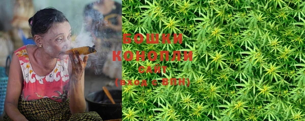 стаф Кодинск