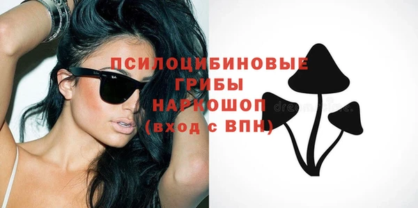 стаф Кодинск