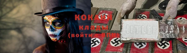 стаф Кодинск