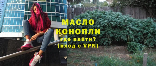 стаф Кодинск