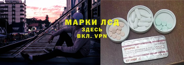 стаф Кодинск