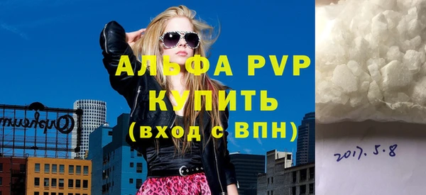 стаф Кодинск