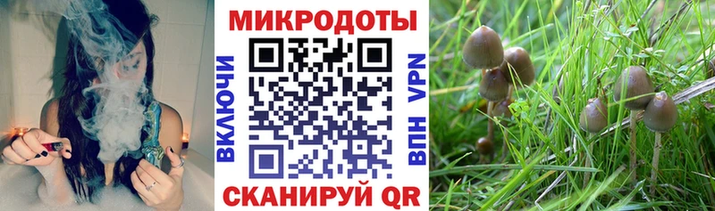 Галлюциногенные грибы MAGIC MUSHROOMS  Купить где  Мурино 